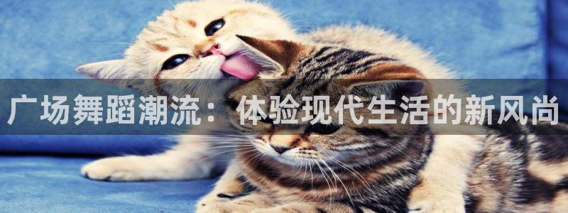 龙8国际pt