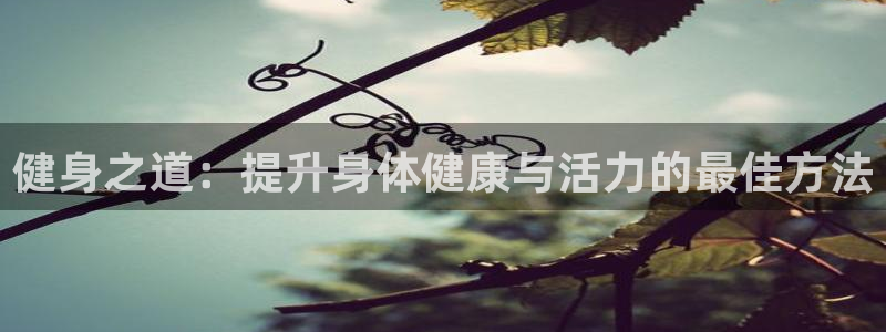 龙8国际为啥改名叫头号玩家了呢