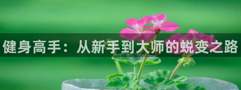 龙8国际官网官方版fxzls天地手游 -kc -安卓