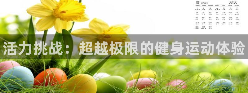 龙8国际电子平台