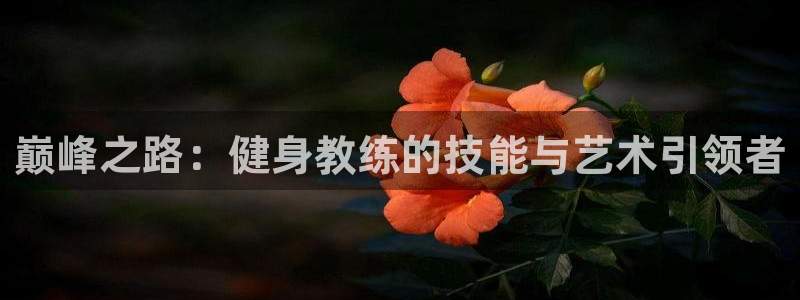 龙8国际网页登录