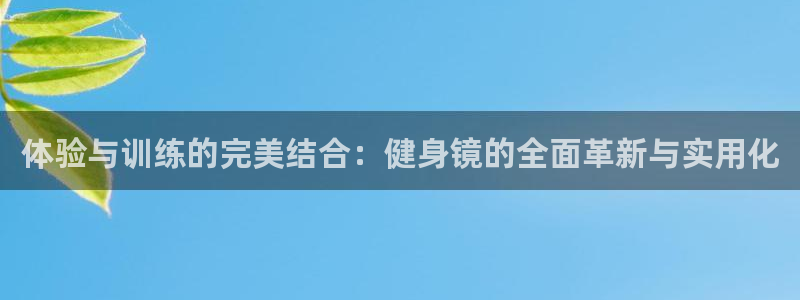 龙8 国际