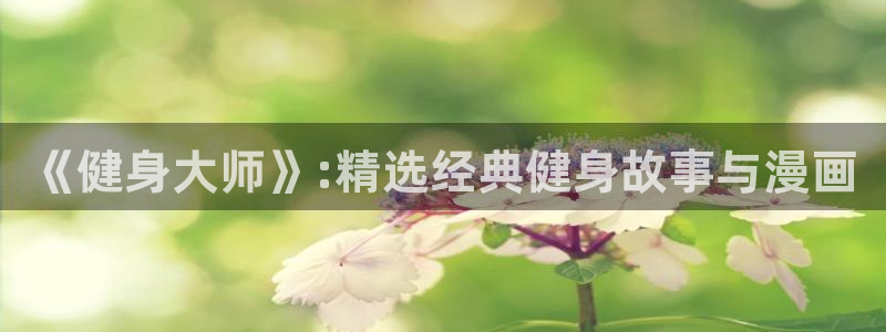 龙8国际提现