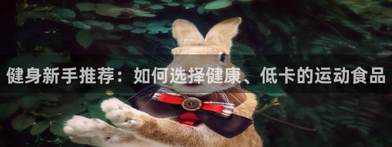 龙八国际手机客户端