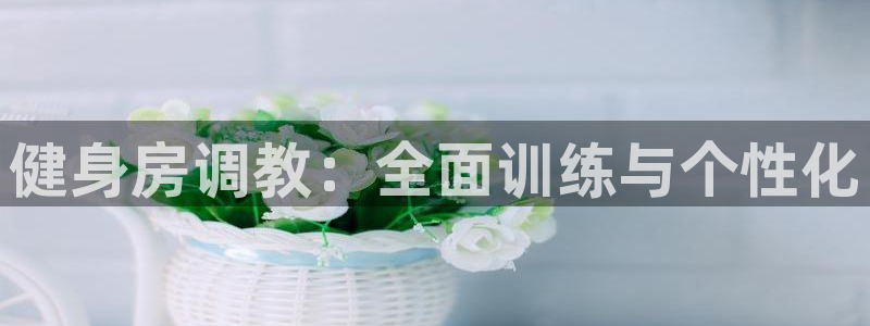 龙8国际官网唯一入口