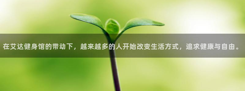 龙8国际手机登