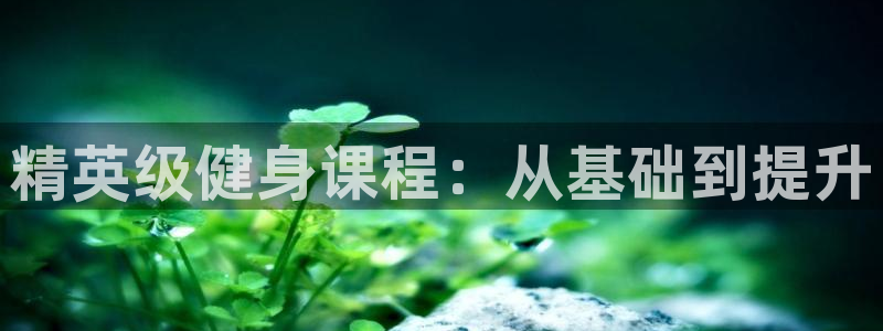 龙8国际ing