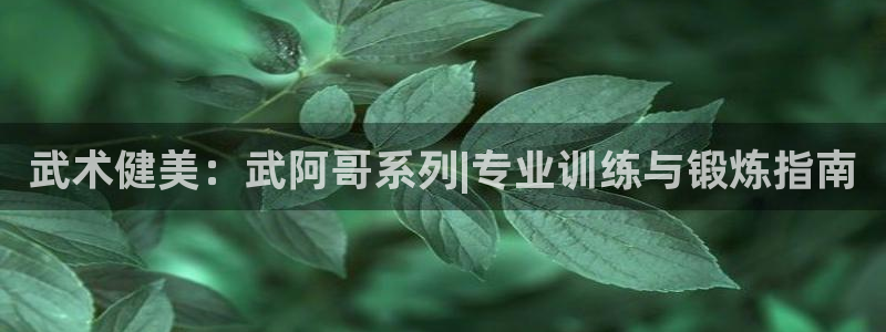 龙八国际城