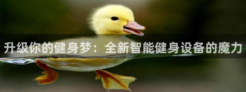 龙8国际官方网站-龙8国际pt老虎机