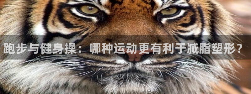 龙8国际首页
