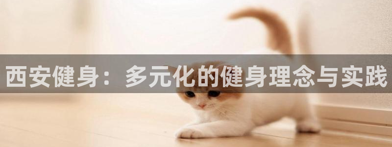 龙8国际官网