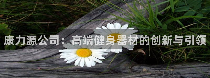 龙8游戏入口
