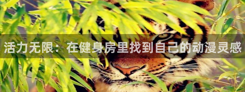 龙8国际游戏娱乐