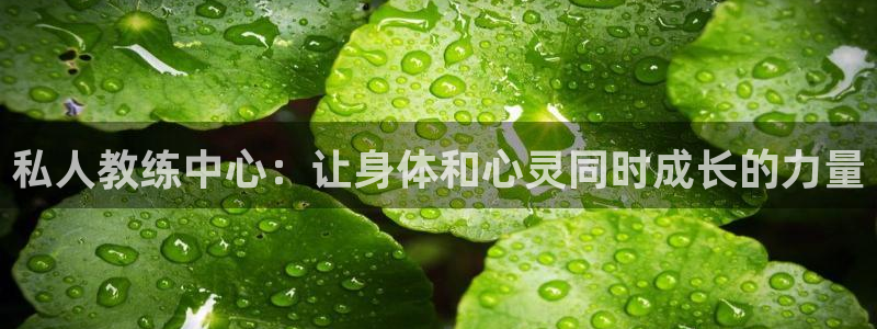 龙8游戏平台的网站