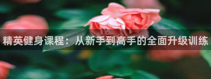 龙8国际网站是多少