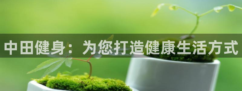 龙8游戏官方网站z