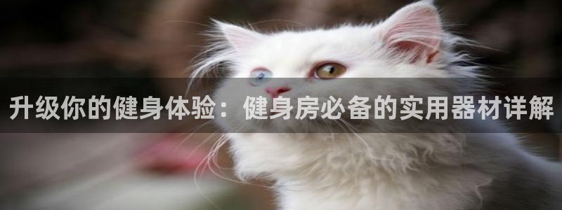 龙8国际黑吗