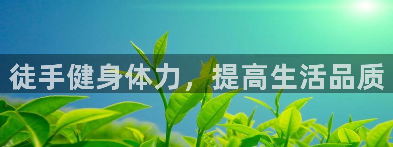 龙8国际long8