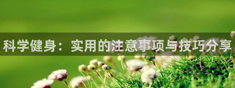 龙8国际app下载手机版
