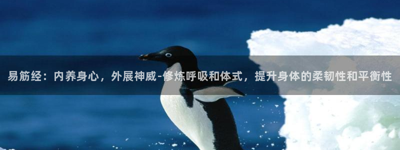 国际龙8官方网站