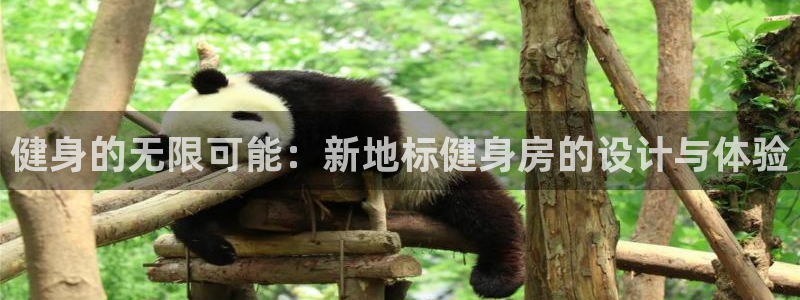 龙8国际平台登录