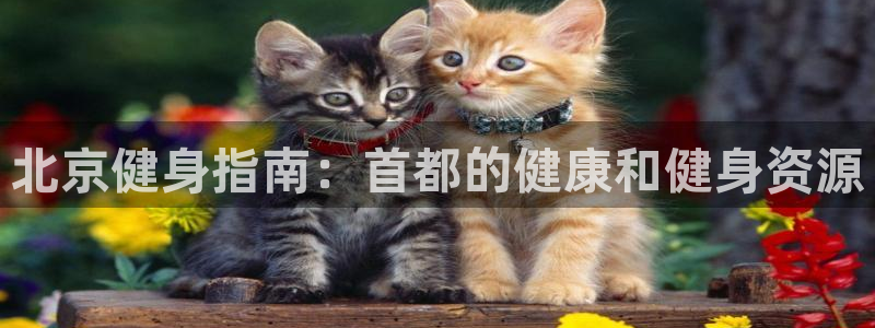 龙8国际官网点此进入游戏