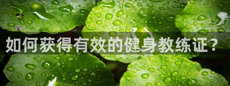 龙8国际游戏