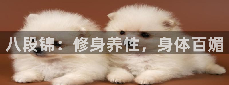 龙8国际唯一官网