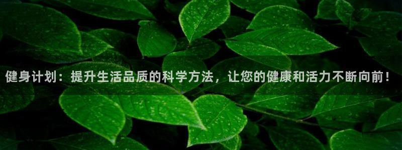 龙8国际pt网址官方