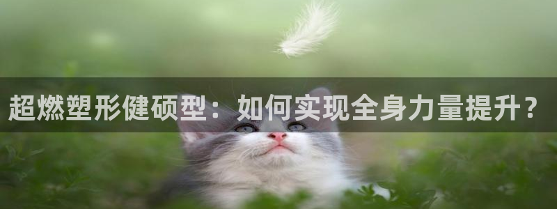 龙8游戏官方网站z