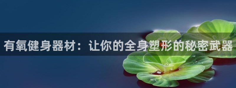 龙8国际官网进入