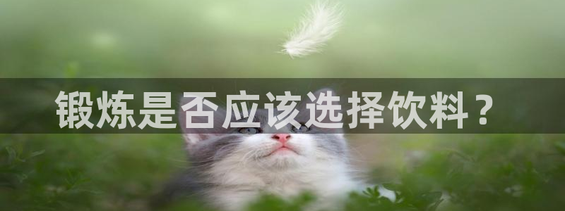 龙8国际long8