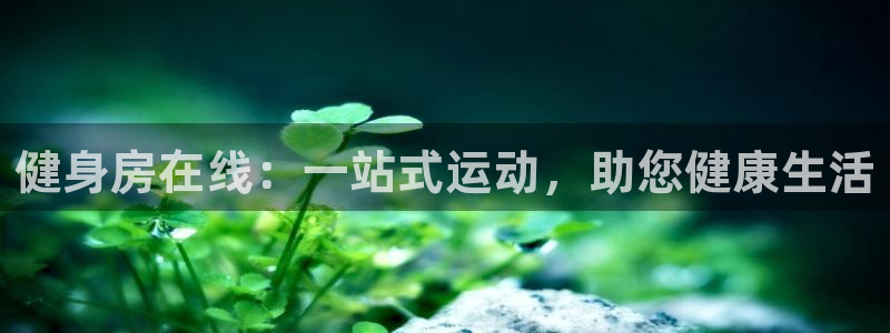 龙8国际pt官网