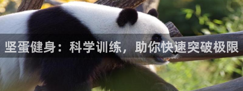 龙8国际的官方网站