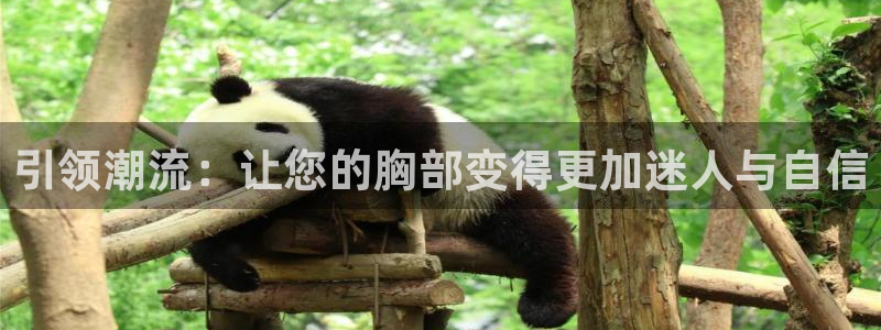 龙8国际游戏娱乐