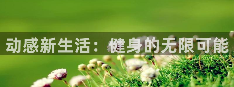 龙8国际官方网站手机版