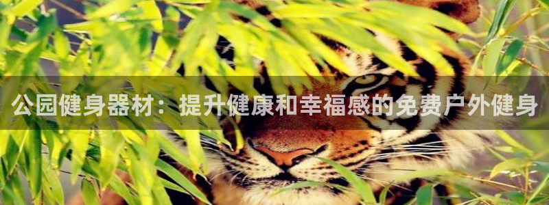 龙八国际官网下载