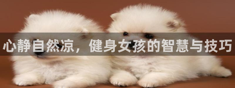 龙8国际官网首页