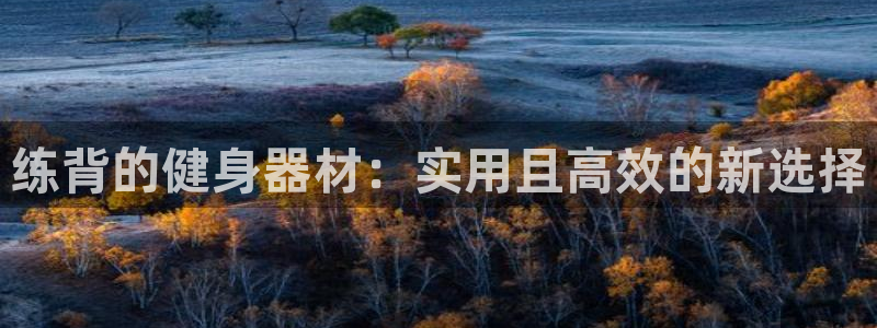 龙8国际平台输了多少