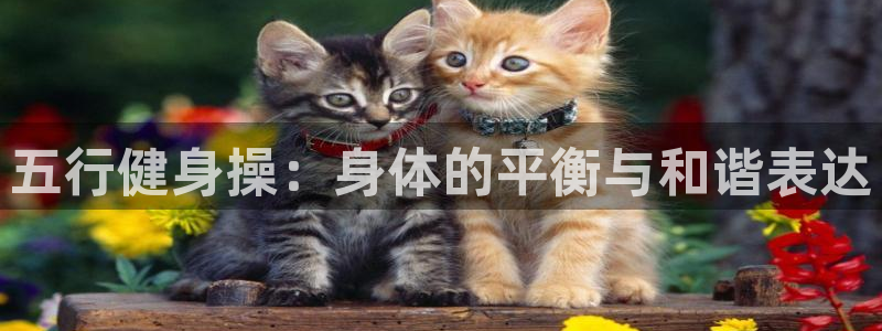 龙8国际官网正版