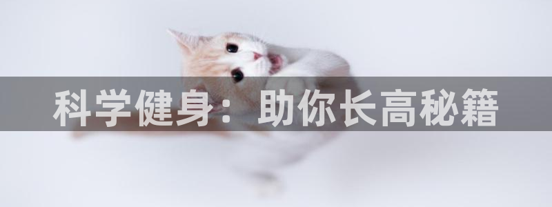 龙八国际app客户下载