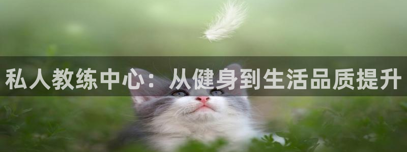 龙8国际2021官方网站pkufli1.291