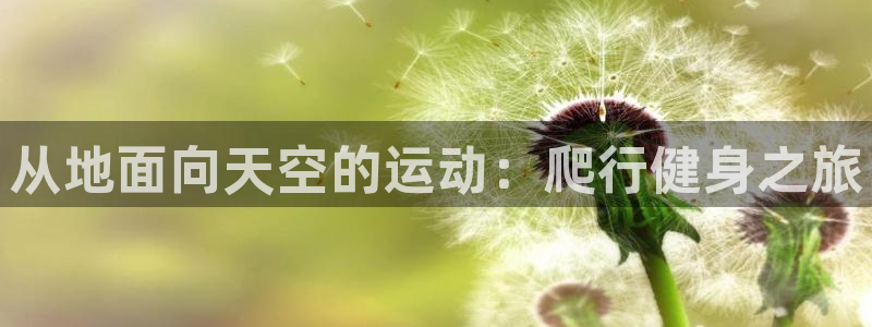 龙8国际pt网址官方