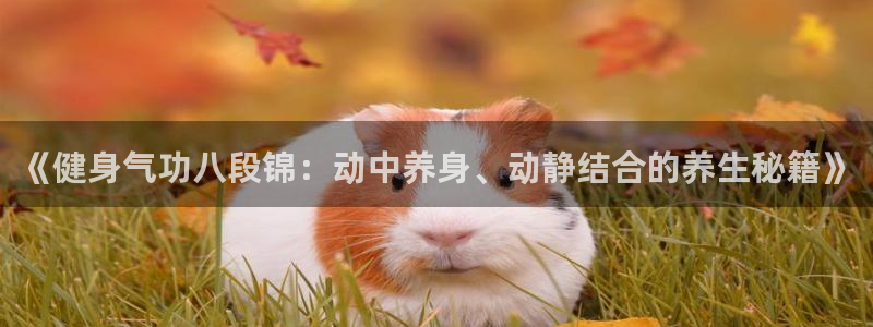 龙8国际手机官网下载