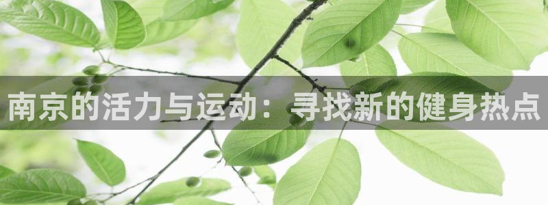 龙8国际在线登录