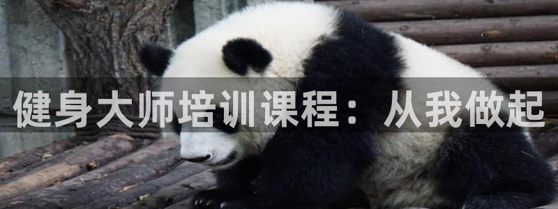 龙8国际游戏官方进入的介绍