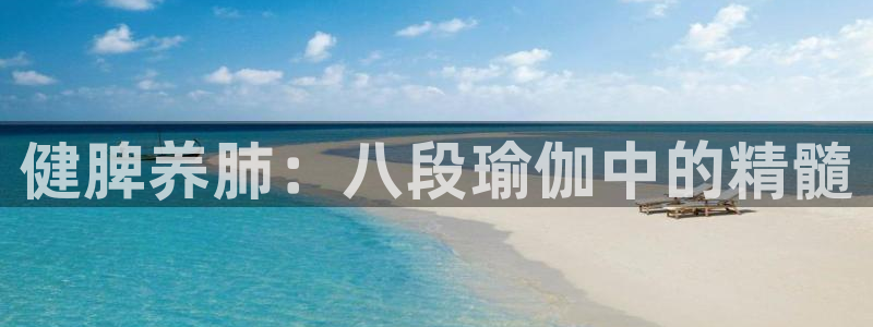 龙8国际手机版app