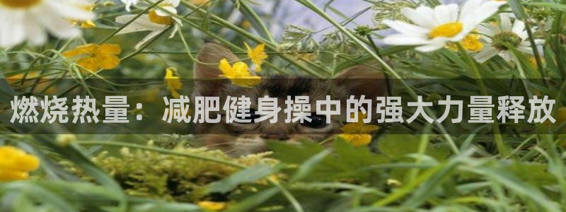 龙8国际app下载官网手机版最新版