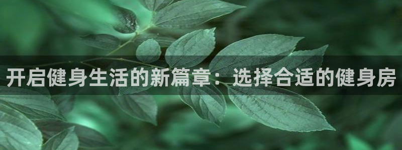 龙8国际网站怎么样