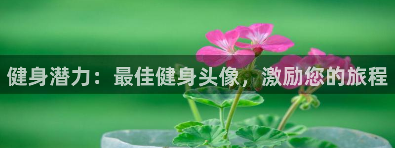 龙8国际游戏官网